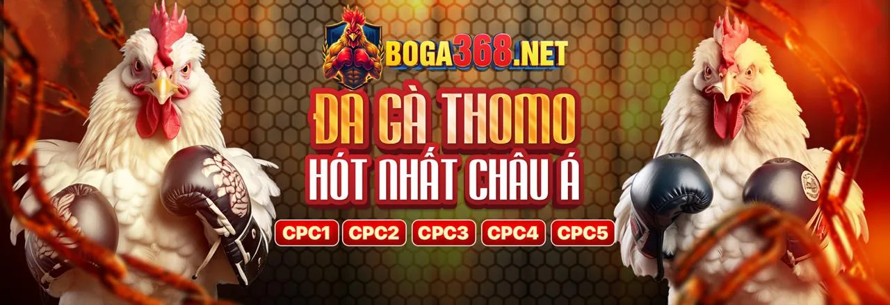 Hình ảnh đại diện cho Chính sách GDPR của 90phut link mới